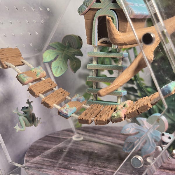 3D Printed Rainy Forest Themed Jumping Spider Enclosure Decor Bundle