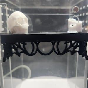 3D printed Magnetic Witch Shelf with Skull and Candles Jumping Spider Platform