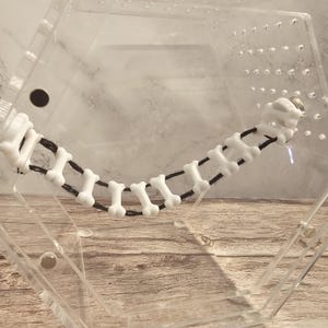 May include: A clear plastic box with a white bone-shaped toy attached to a black string. The toy is suspended inside the box.