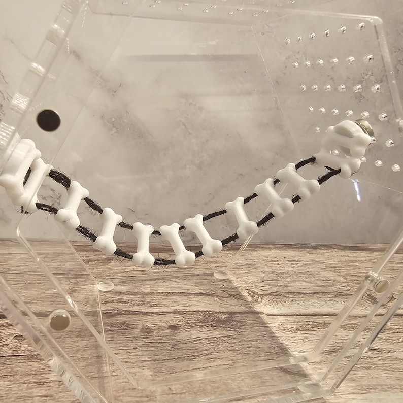 May include: A clear plastic box with a white bone-shaped toy attached to a black string. The toy is suspended inside the box.