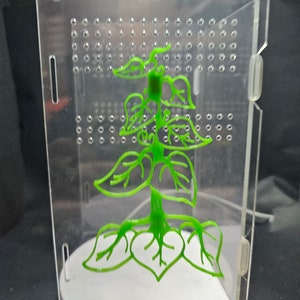 3D printed Monsterra Leaf Jumping Spider Climbing Wall