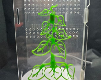 3D printed Monsterra Leaf Jumping Spider Climbing Wall