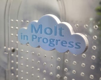 3D printed Magnetic Name Personalized Cloud Sign Jumping Spider Small Terrarium Decor