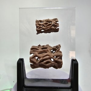 3D-geprint hol boomstamplatform en decor springspin verbergen