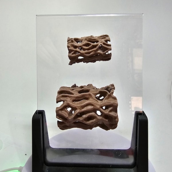 3D Printed Hollow Log Platform and Hide Jumping Spider Decor