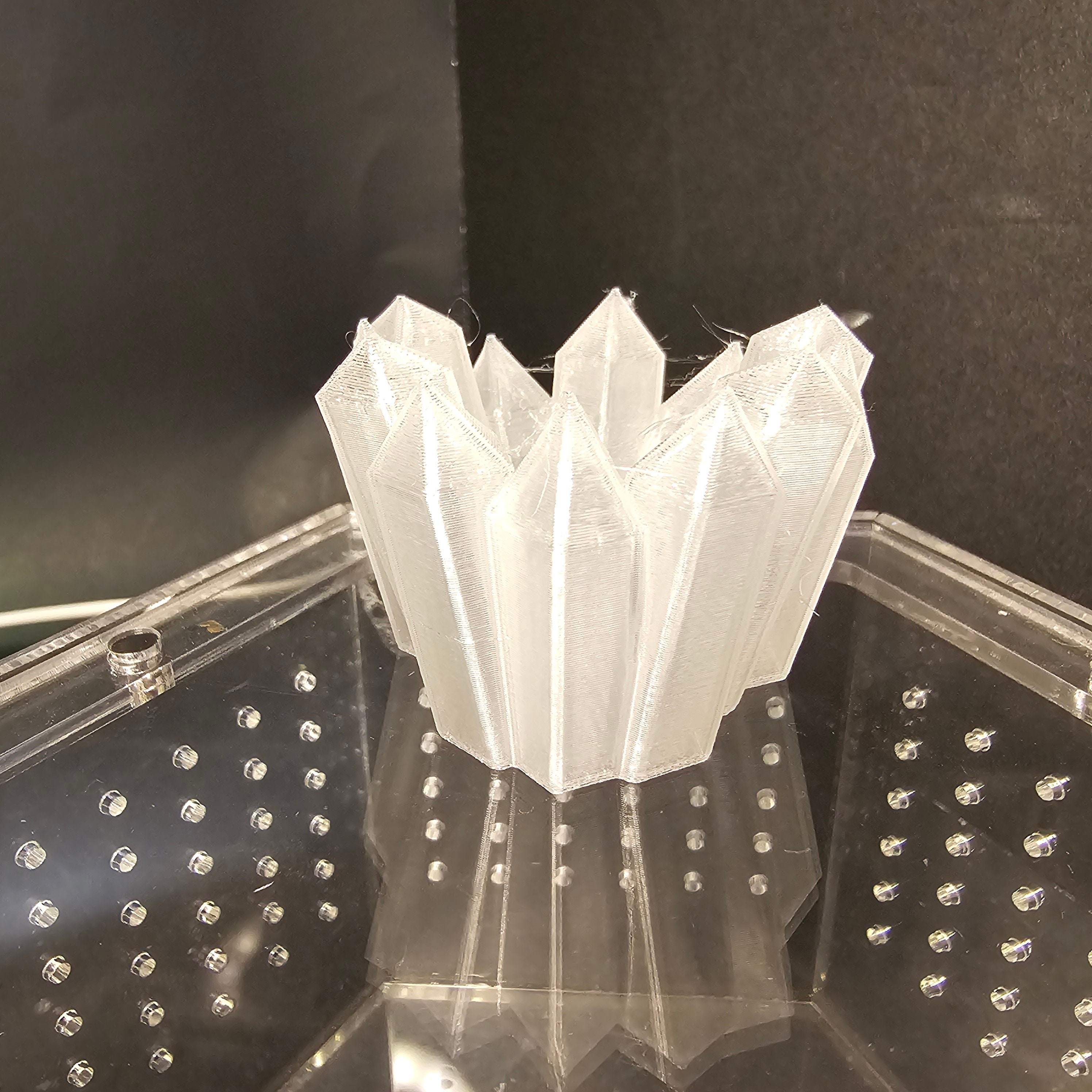 Pelle di ragno saltatore con dorso cavo in cristallo magnetico stampata in 3D - Italia