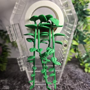 3D printed Magnetic LARGE Hanging  Window Planter Jumping Spider Hide Small Terrarium Decor