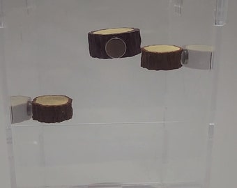 Ensemble de 3 plates-formes magnétiques en forme d'araignée imprimées en 3D, plates-formes pour terrarium