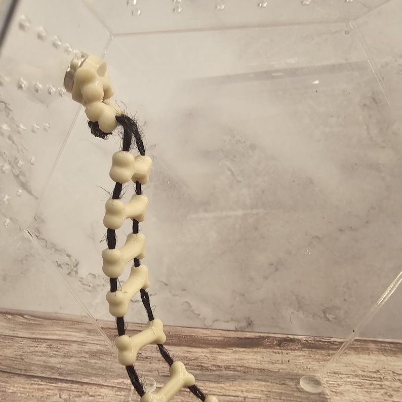 May include: A white bone-shaped charm bracelet with black string and a magnetic clasp.