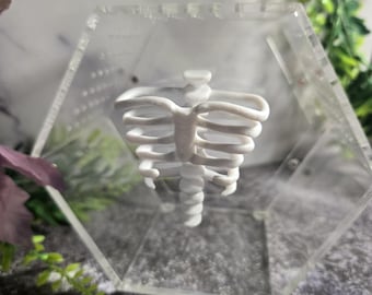 3D-geprint magnetisch decor van de ribbenkast Spider Hide-behuizing