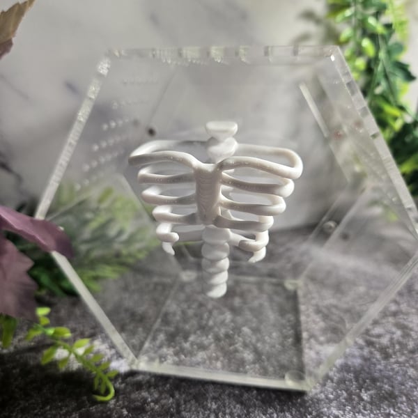 Decoração de gabinete de pele de aranha magnética impressa em 3D