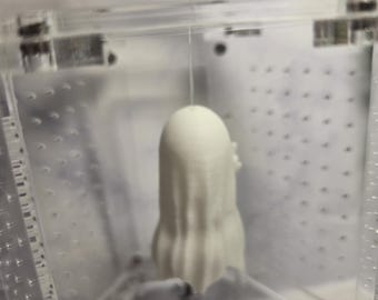 3D printed Hollow Ghost Flipping the Bird Jumping Spider Hide