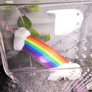 May include: A decorative rainbow ornament with white cloud ends. The rainbow displays bands of red, orange, yellow, green, blue, and purple. It is set inside a clear container, with green leaves visible in the background.