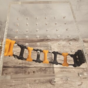 May include: A clear plastic box with a black and orange bone-shaped toy inside. The toy is made of a flexible material and is designed to be chewed on by dogs.