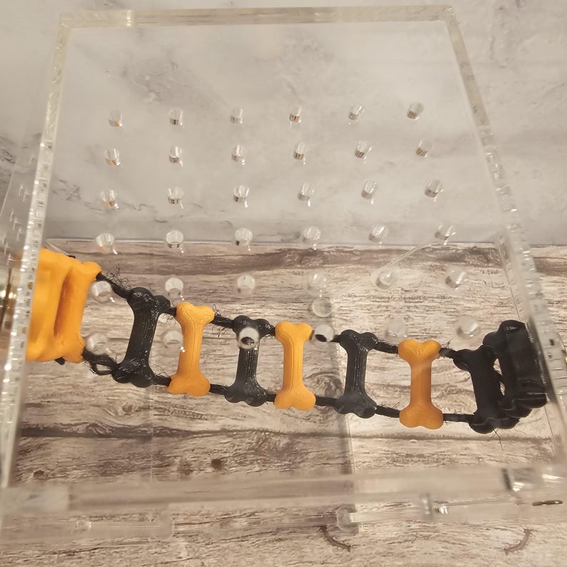 May include: A clear plastic box with a black and orange bone-shaped toy inside. The toy is made of a flexible material and is designed to be chewed on by dogs.