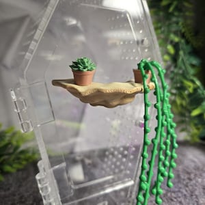 3D printed Succulent Maitake Shelf Fungi Jumping Spider Hide/Platform