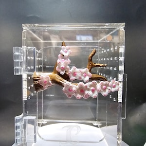 3D printed Hand-Painted Cherry Blossom Branch Jumping Spider Platform