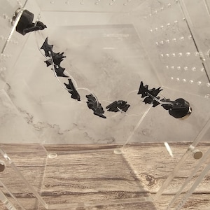 May include: A black plastic chain of bat-shaped charms with magnetic closures. The chain is hanging inside a clear acrylic box.