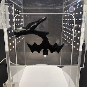 3D printed Spooky Bat Hanging from a Branch Jumping Spider Platform
