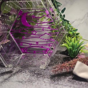 3D printed Flexible Hexagon Shaped Web Ribbon Climbing Walls Jumping Spider Decor