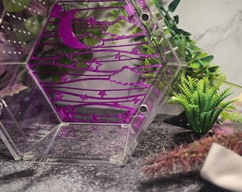 3D printed Flexible Hexagon Shaped Web Ribbon Climbing Walls Jumping Spider Decor