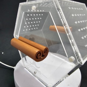 3D-geprinte magnetische kaneelstokplatform-springspinnenbehuizing, huid afbeelding 3