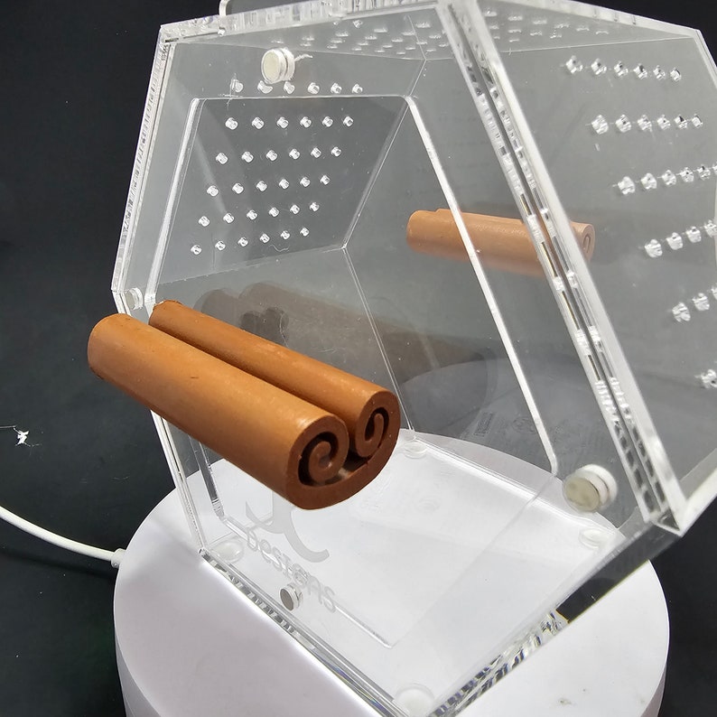 3D-geprinte magnetische kaneelstokplatform-springspinnenbehuizing, huid afbeelding 3