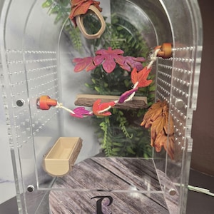 May include: A clear acrylic bird cage with a wooden base and interior accessories. The cage includes a wooden perch, a rope swing with colorful leaf accents, and a wooden food dish. Decorative leaves and greenery are visible inside the cage.