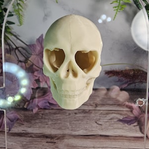 3D printed Magnetic Skull Spider Hide