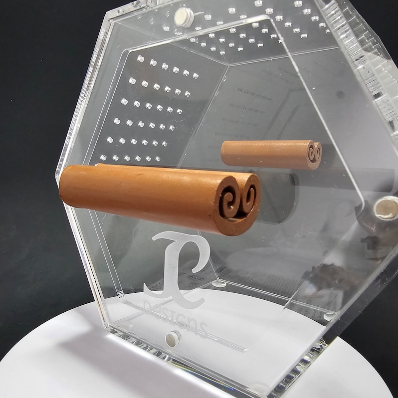 3D-geprinte magnetische kaneelstokplatform-springspinnenbehuizing, huid afbeelding 1