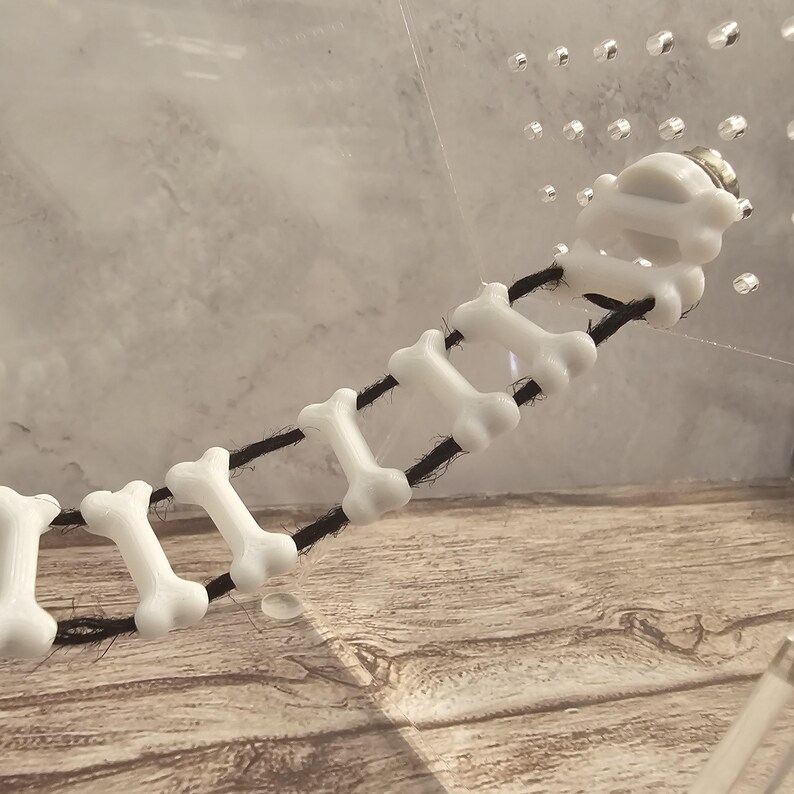 May include: A white bone-shaped garland with black string connecting the bones. The garland is hanging from a clear surface with a pattern of small holes.