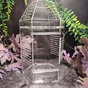 JC Designs Original Acrylic Top and Front Opening Aviary Enclosure designed for Jumping Spiders