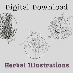 Digital Download:  61 Herbal Line Illustrations