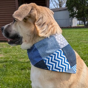 May include: A tan dog wearing a patchwork bandana with blue polka dots, denim, and a white and blue zigzag pattern. The dog is sitting on green grass in front of a brown building and a shed.