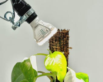 Grow Light & Clamp Combo