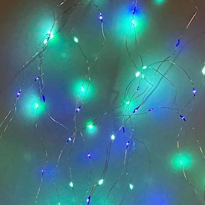 Custom Color Fairy Lights: Silver Wire, Indoor/Outdoor Decor