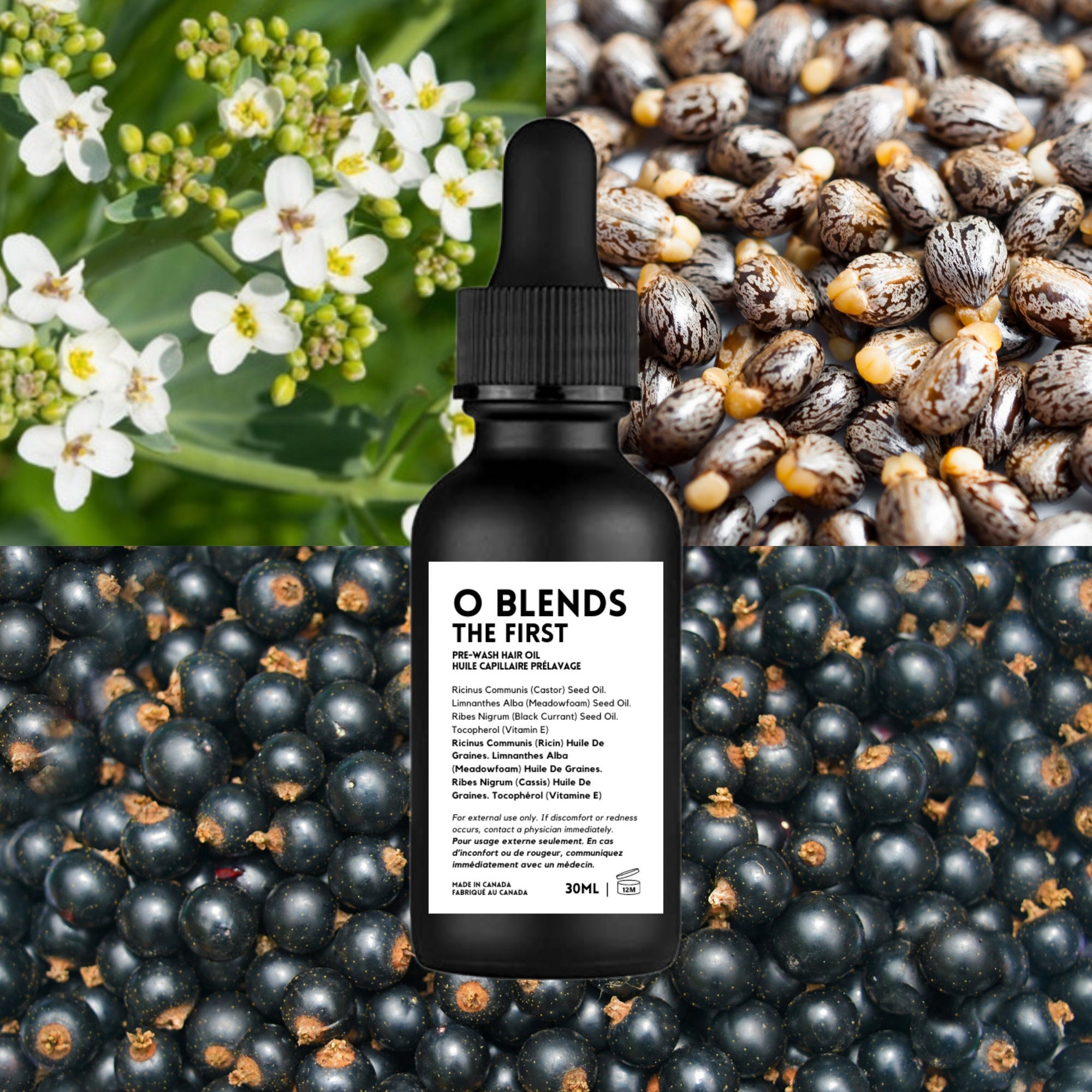 Blackcurrant Oil - Etsy Blackcurrant Oil - Etsy