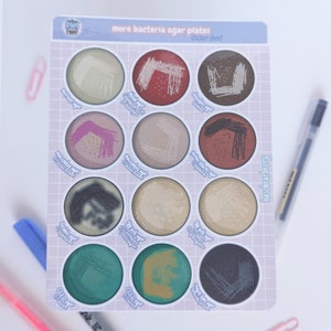 Hoja de pegatinas de agar-bacterias - fisiología/laboratorio médico/microbiología/ciencia/hospital/salud/regalos de laboratorio/cuaderno/biología