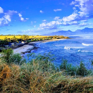 Along the Road to Hana Photo Collection - Digital Download