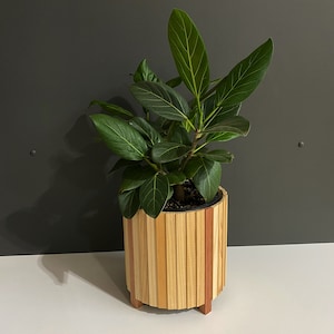 プラントスタンド、ミディアム、180 mm屋内観葉植物用