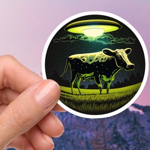 Alien Flying Saucer Sticker, UFO Sticker, Cool Alien Sticker, Alien Graphic Sticker, Alien Sticker, UFO Sticker, Area 51 Sticker,