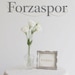 Forzaspor store logo