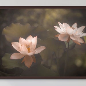 Lotus Flower Photo-Wall Art-Descarga instantánea- Fotografía de naturaleza-Arte floral descargable