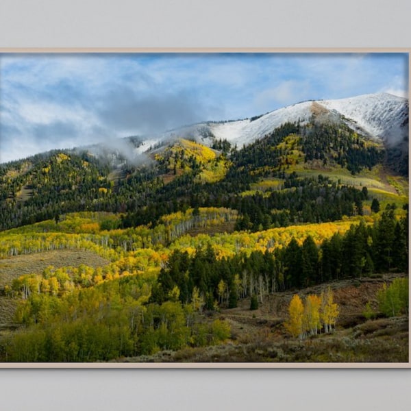 Colorado Autumn Landscape-Colorado Photography-Landscape Photo-Fine Art Wall Print-Nature Scene Fall Colors-Home Decor