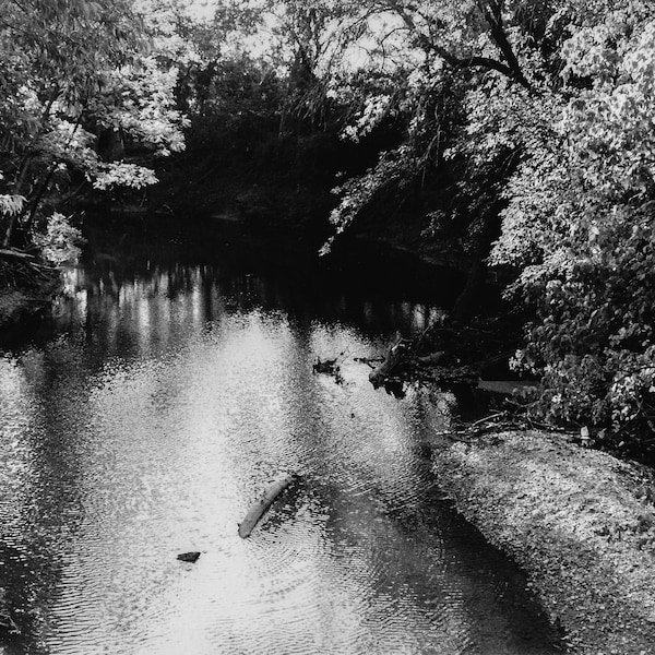 Water Creek Creek schwarz weiss Foto, Handgefertigter Silber Gelatine Print, Dunkelkammer Print, Art Deco