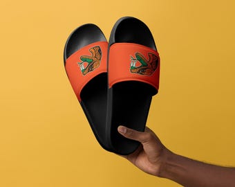 FAMU College Slides