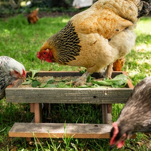 Upcycled Chicknic Table