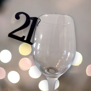square wine glasses with stem Acrylic 10 Oz. Stemmed Wine Glass  Clear Home Decor
