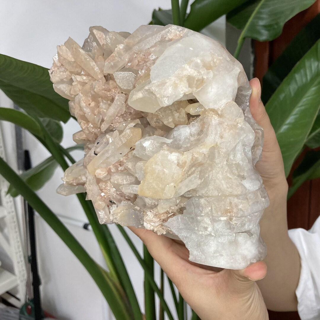 Rare Rabbit Hair Rutilated Quartz Crystal High Quality - Etsy