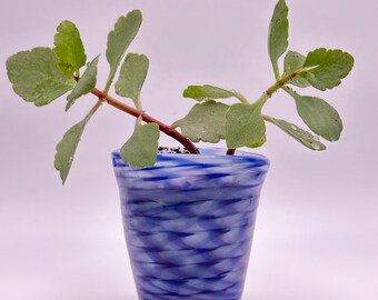 Handblown Blue Glass Planter for Cuttings and Starts